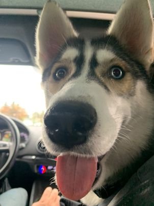 247974114_246402587515199_5258679291117850383_n