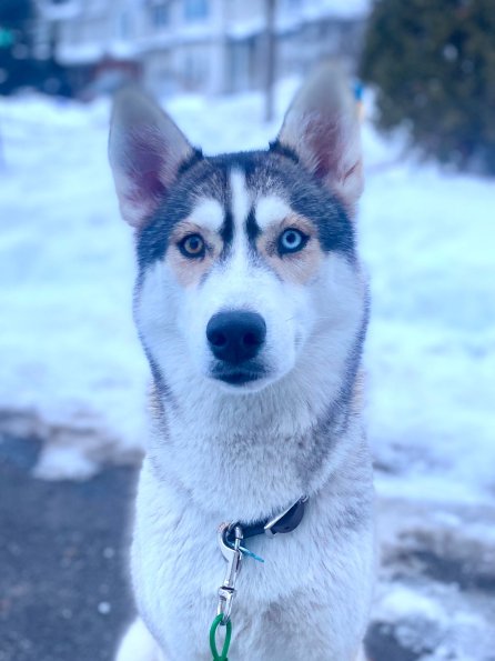 329362809_721569542656178_4077914478430766910_n