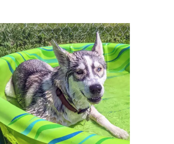 SKye_in_pool
